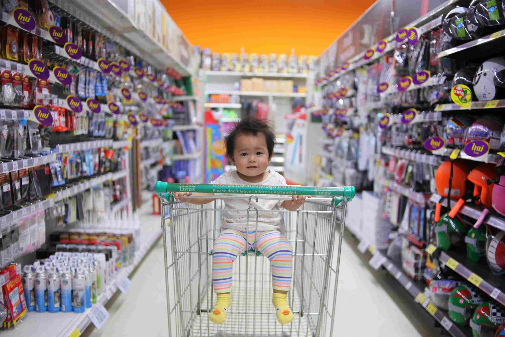 Shopping cart seat